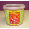 KOI - GOLDFISH Colour-sticks 5 lts.