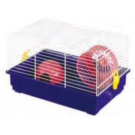 HAMSTER ref. 913