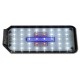 Pantalla Leds Orion Led River