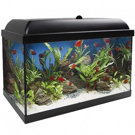 Acuario Kit Aqualed pro 25