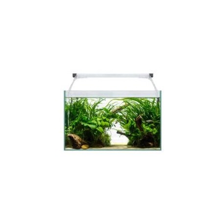 Acuario Aqua light Glass 40 de 21 lts.