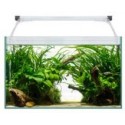 Acuario Aqua light Glass 40 de 21 lts.