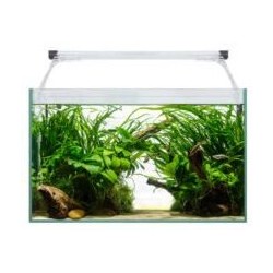 Acuario Aqua light Glass 60 de 52 lts.